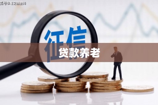 铜仁贷款养老