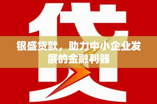 铜仁银盛贷款，助力中小企业发展的金融利器