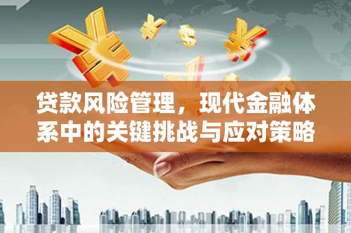 铜仁贷款风险管理，现代金融体系中的关键挑战与应对策略
