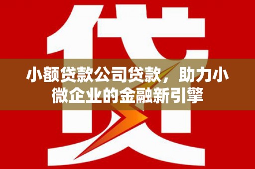 铜仁小额贷款公司贷款，助力小微企业的金融新引擎