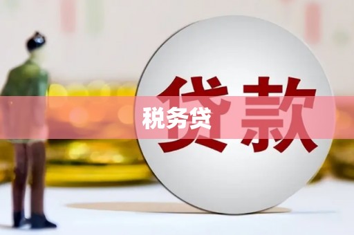 铜仁税务贷