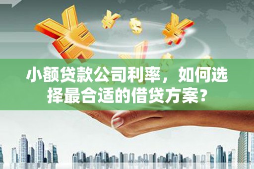 铜仁小额贷款公司利率，如何选择最合适的借贷方案？
