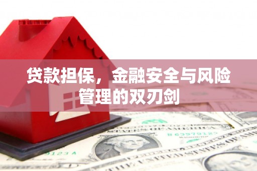 铜仁贷款担保，金融安全与风险管理的双刃剑