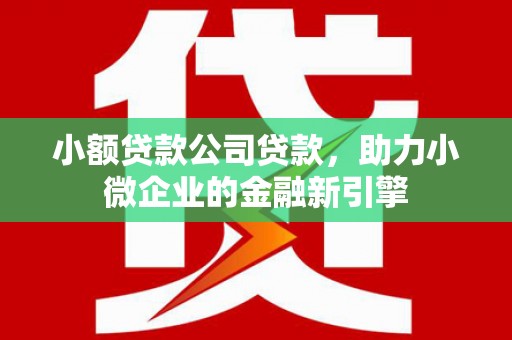 铜仁小额贷款公司贷款，助力小微企业的金融新引擎