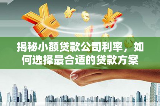 铜仁揭秘小额贷款公司利率，如何选择最合适的贷款方案