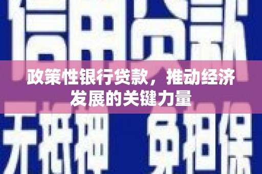 铜仁政策性银行贷款，推动经济发展的关键力量