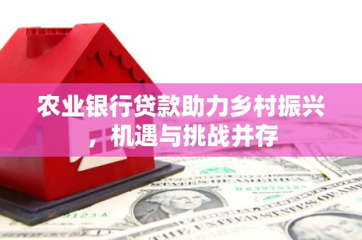 铜仁农业银行贷款助力乡村振兴，机遇与挑战并存