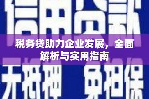 铜仁税务贷助力企业发展，全面解析与实用指南