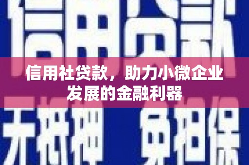 铜仁信用社贷款，助力小微企业发展的金融利器