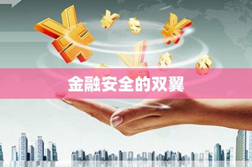 铜仁金融安全的双翼