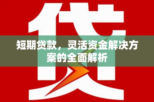 铜仁短期贷款，灵活资金解决方案的全面解析
