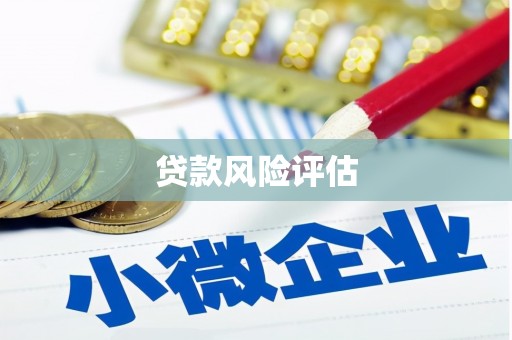 铜仁贷款风险评估