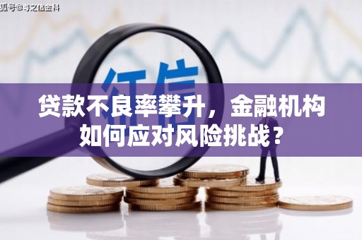 铜仁贷款不良率攀升，金融机构如何应对风险挑战？