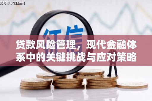 铜仁贷款风险管理，现代金融体系中的关键挑战与应对策略