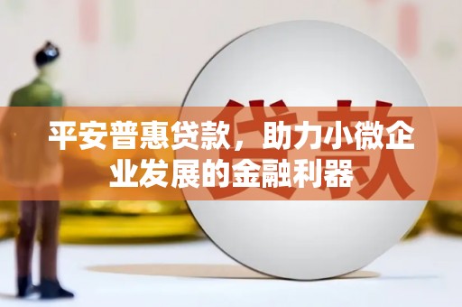 铜仁平安普惠贷款，助力小微企业发展的金融利器
