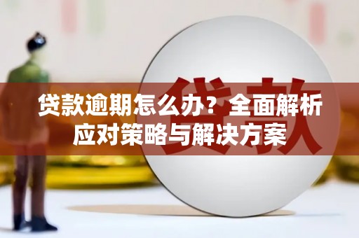 铜仁贷款逾期怎么办？全面解析应对策略与解决方案
