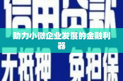铜仁助力小微企业发展的金融利器