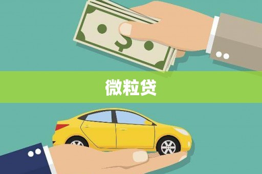 铜仁微粒贷