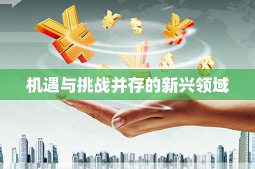 铜仁机遇与挑战并存的新兴领域