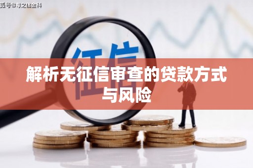 铜仁解析无征信审查的贷款方式与风险