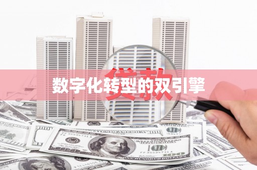 铜仁数字化转型的双引擎