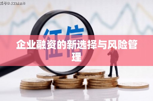 铜仁企业融资的新选择与风险管理
