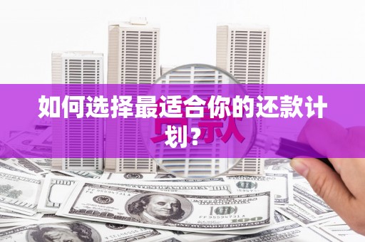 铜仁如何选择最适合你的还款计划？