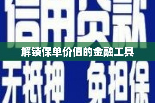 铜仁解锁保单价值的金融工具