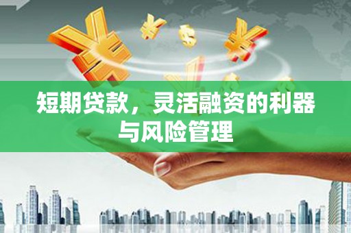 铜仁短期贷款，灵活融资的利器与风险管理