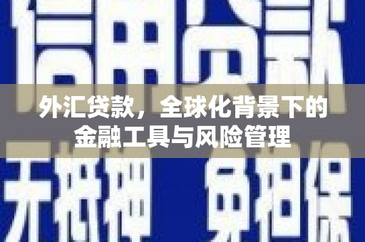 铜仁外汇贷款，全球化背景下的金融工具与风险管理
