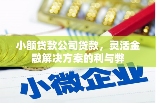 铜仁小额贷款公司贷款，灵活金融解决方案的利与弊