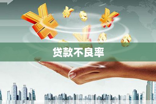 铜仁贷款不良率