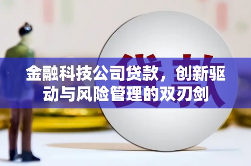 铜仁金融科技公司贷款，创新驱动与风险管理的双刃剑